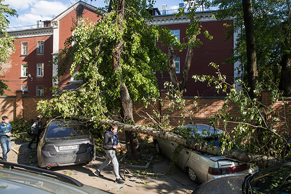 Последствия урагана в Москве