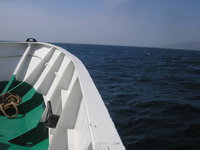 сухогруз. 273004.jpeg