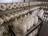 В Белоруссии вырастут цены на хлеб и молоко. 245006.jpeg