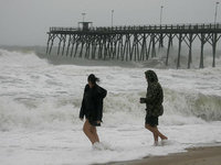 Жителям Токио сократили рабочий день из-за мощного урагана. 257807.jpeg