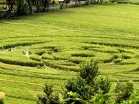 Кладбище пришельцев найдено в Африке. 241066.jpeg