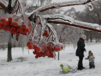 Прогнозы: в Москве немного потеплеет. 253068.jpeg