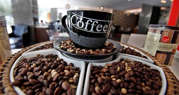 Ученые: Три чашки кофе в день снижают риск Альцгеймера на 20%. 305090.jpeg