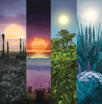 Какого цвета будут растения на других планетах?