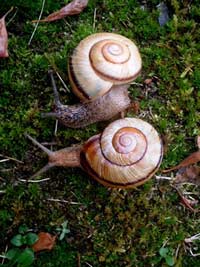 Новый детектор будет искать инопланетян на Марсе