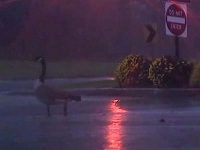 ураган. 273112.jpeg