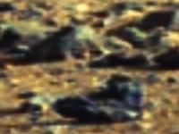 марс. 269117.jpeg