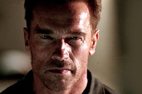 Шварценеггера прочат на пост президента ЕС. 236119.jpeg