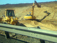 Ради редкого паука в США заморозили крупную стройку. 270141.jpeg