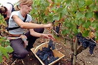 Торговцы людьми держали своих жертв в погребе