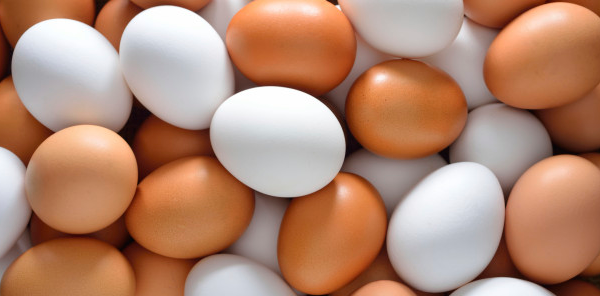 Роспотребнадзор объявил европейские яйца вне закона. 297171.png