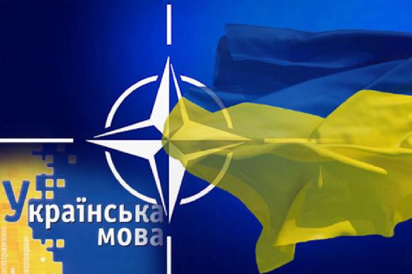 Украине еще раз показали, как НАТО "ценит" сотрудничество с ней. 389191.jpeg