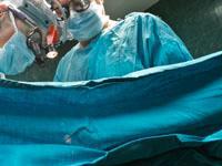 сердце. 259202.jpeg