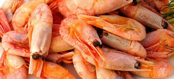 Иран будет поставлять россиянам креветок и форель. 298220.png