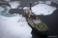 Во льдах Арктики "нарисовался" шедевр да Винчи. greenpeace
