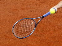 Сборная России вышла в полуфинал Кубка Федерации. 254224.jpeg