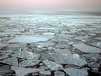 В мировом океане растет содержание ртути