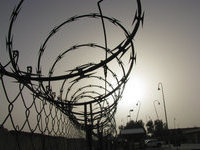 побег. 257225.jpeg