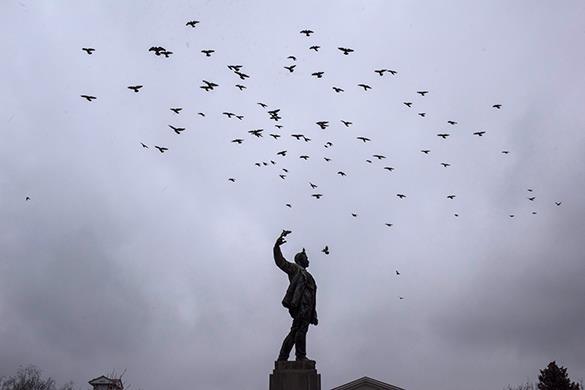 Над большевистским памятником в Артемовске собираются стаи птиц. 313229.jpeg