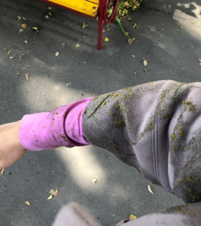 Постановкой 