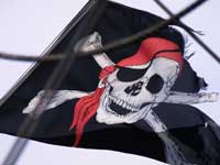 В Чехии образовалась пиратская партия