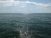 В Японии тонет пассажирский паром. 257273.jpeg