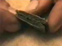 У московских гаишников нашли гашиш и марихуану. 249300.jpeg