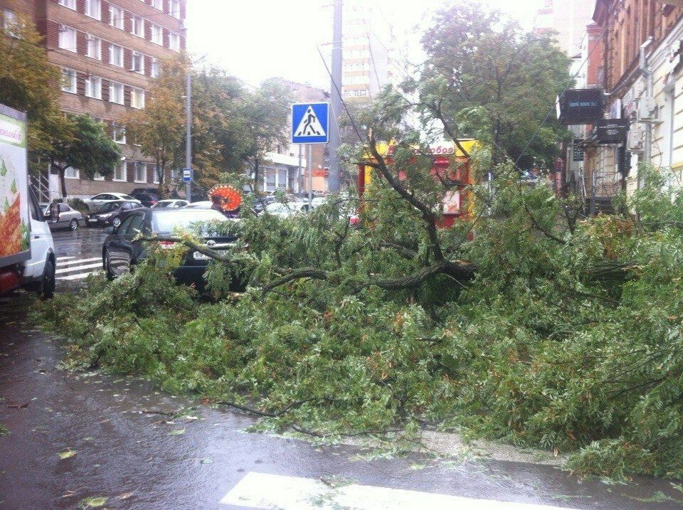 В Ростовской области уже сутки не стихают проливные дожди с ураганным ветром. 299323.jpeg