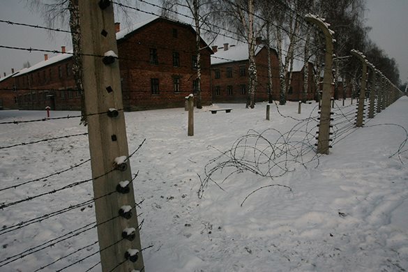 Лидера еврейской общины Рима заперли в Освенциме и жестко допрашивали. 310323.jpeg