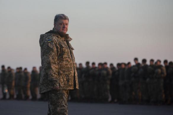 СМИ объявили Украину "позорным" кандидатом в НАТО. 384335.jpeg