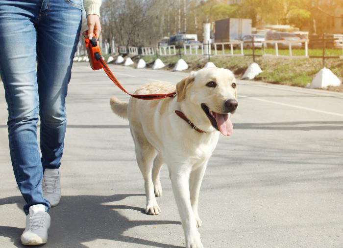 Жонглирование лучше всего развивает мозг
