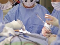 Школьник сделал 16 