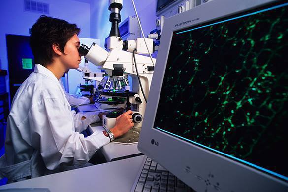 Дети будущего будут рождены от трех родителей