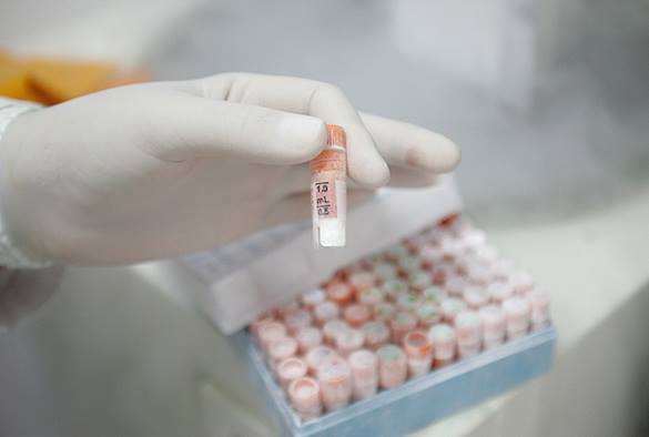 Какая бактерия укусила американских ученых. новая эпидемия гриппа, опасные болезни, лихорадка Эбола