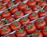 Яркие овощи и фрукты спасают от рака груди. 276359.jpeg