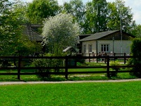 Аферисты торговали землями в элитном районе Подмосковья. 271369.jpeg