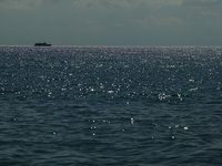 Капитан посадил судно на мель, чтобы спасти экипаж. 243373.jpeg