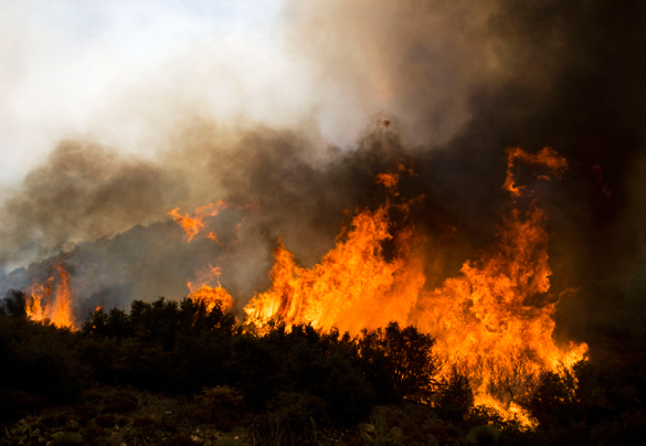 В &quot;европейском&quot; Киеве сожгли бездомного старика ради забавы. пожар огонь поджог дым