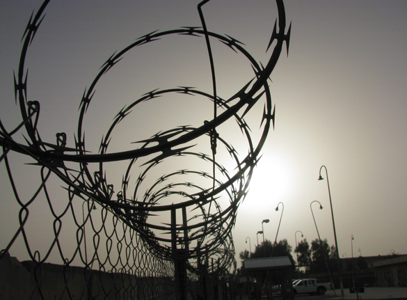 В США рассматривается законопроект об освобождении от ареста и суда за коррупцию. Приехали!. тюрьма колючая проволока арест