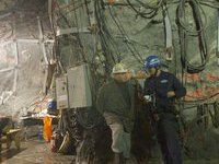 Немецкие метростроевцы нашли бивень мамонта. 268440.jpeg