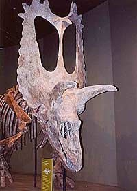 Динозаврам предстоит тотальная ревизия