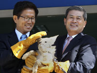 койот. 247446.jpeg