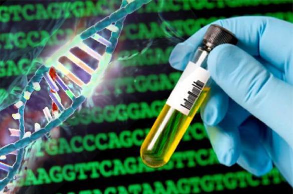 Ученые объяснили феномен успеха колорадских жуков. 382474.jpeg