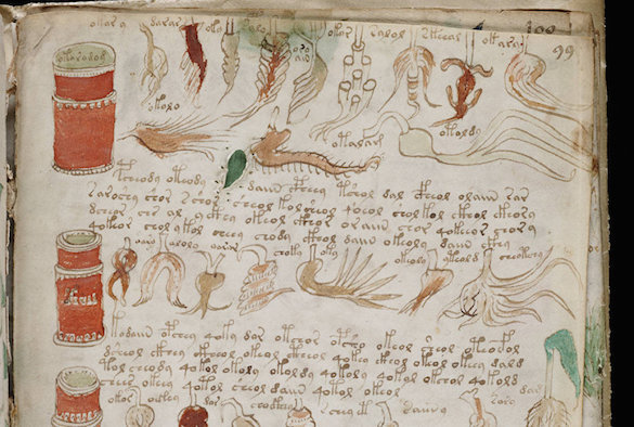 Признание: загадку манускрипта Войнича разгадать невозможно. 375499.jpeg