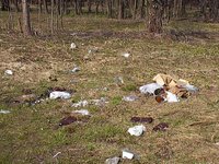 "Новую Москву" освобождают из-под завалов мусора. 266522.jpeg