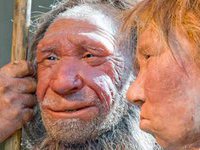 Ученые: в ходе эволюции человечество становится глупее. 274535.jpeg