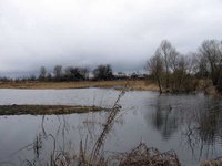 Болгария выставляет на продажу гектар земли. 235550.jpeg