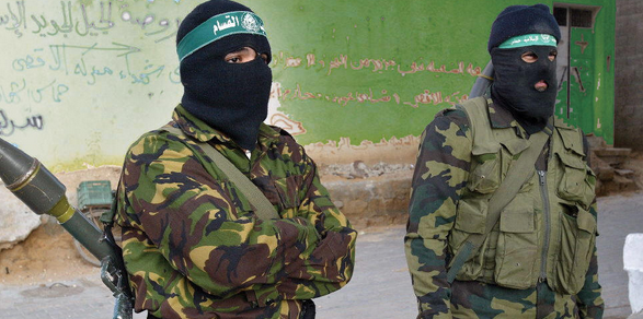 &quot;Исламское государство&quot;   атакует ослами-смертниками. 299555.png