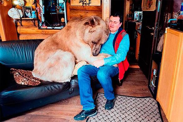 Роксана Бабаян: В РФ наконец увидели проблему безобразного отнош