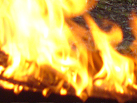 В Подмосковье двое детей сгорели во сне. 273606.jpeg